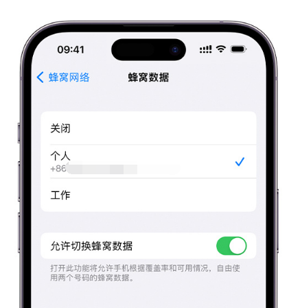 宿迁苹果维修服务分享如何在iPhone上使用双卡 